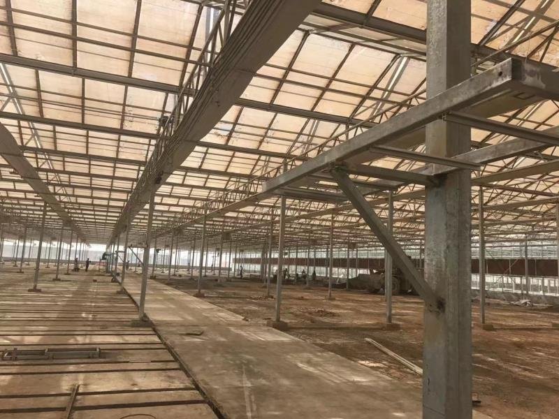承建各种温室大棚欢迎咨询