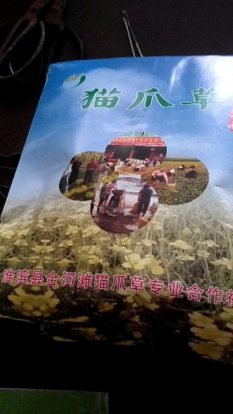 猫爪草种苗发货走起