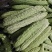 茄子，番茄，四季豆，泡椒，线椒，西葫芦，苦瓜，小南瓜