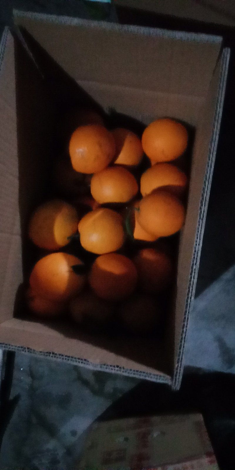 赣南脐橙信丰脐橙采摘进行时保证现摘现发快递包邮