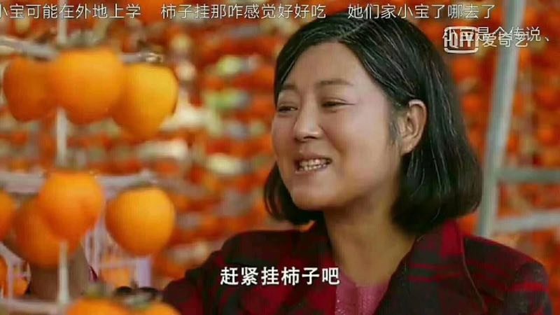 富平柿饼a货10斤240元