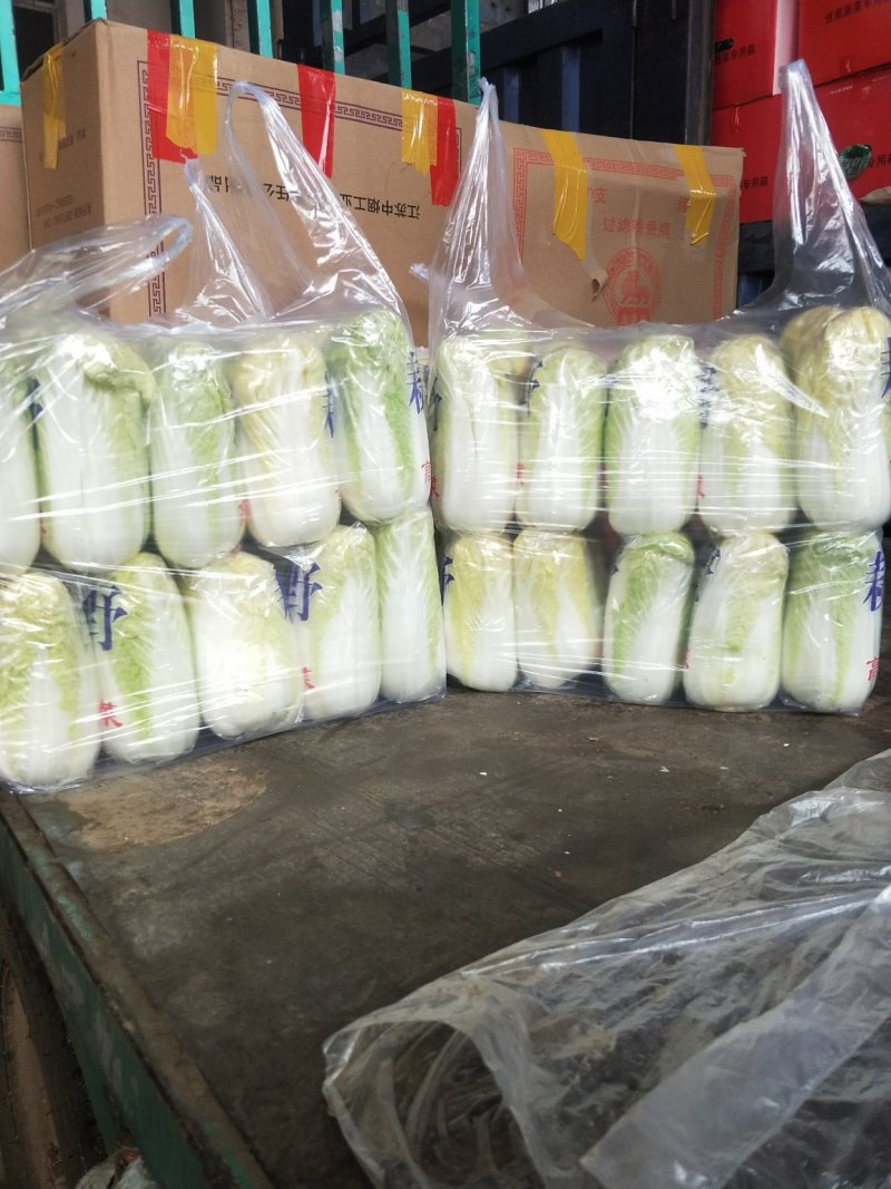 精品娃娃菜干净漂亮超市专供