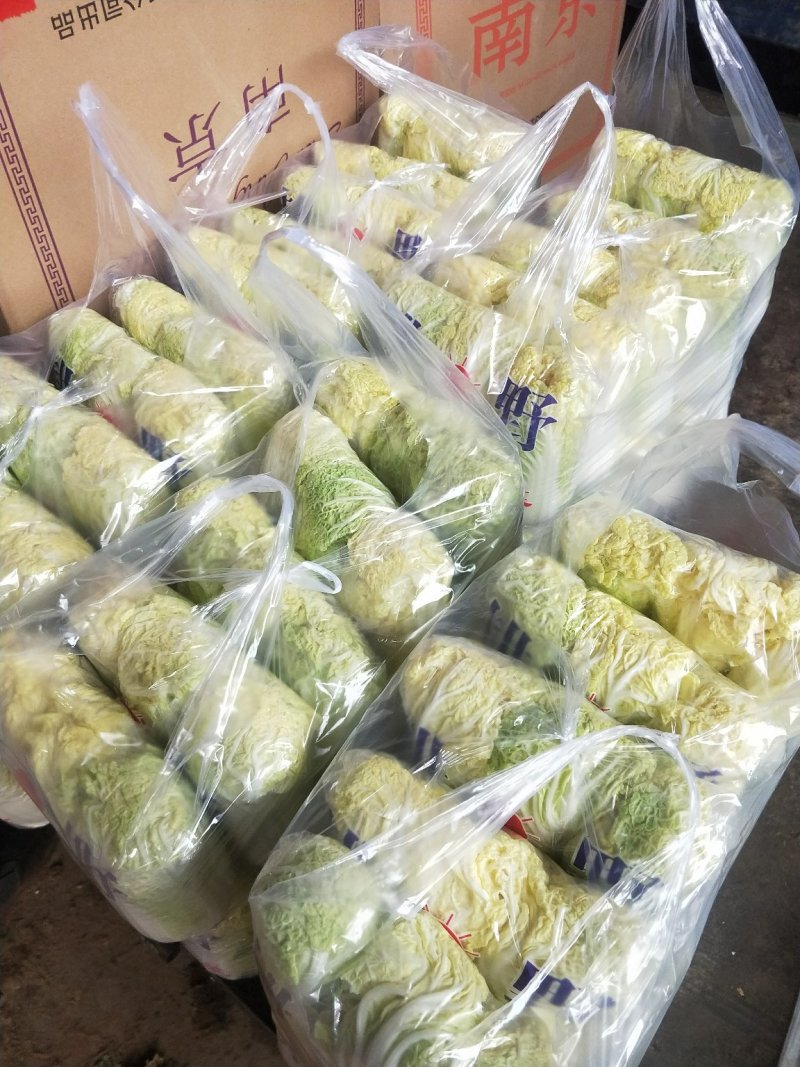 精品娃娃菜干净漂亮超市专供