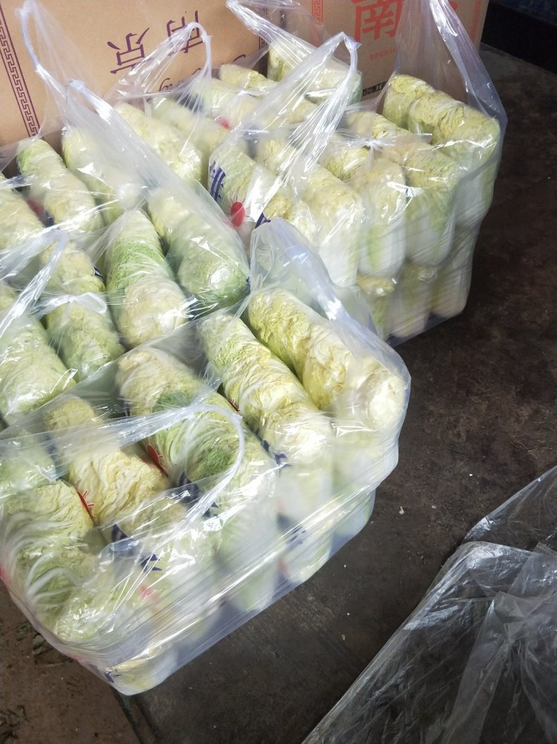 精品娃娃菜干净漂亮超市专供