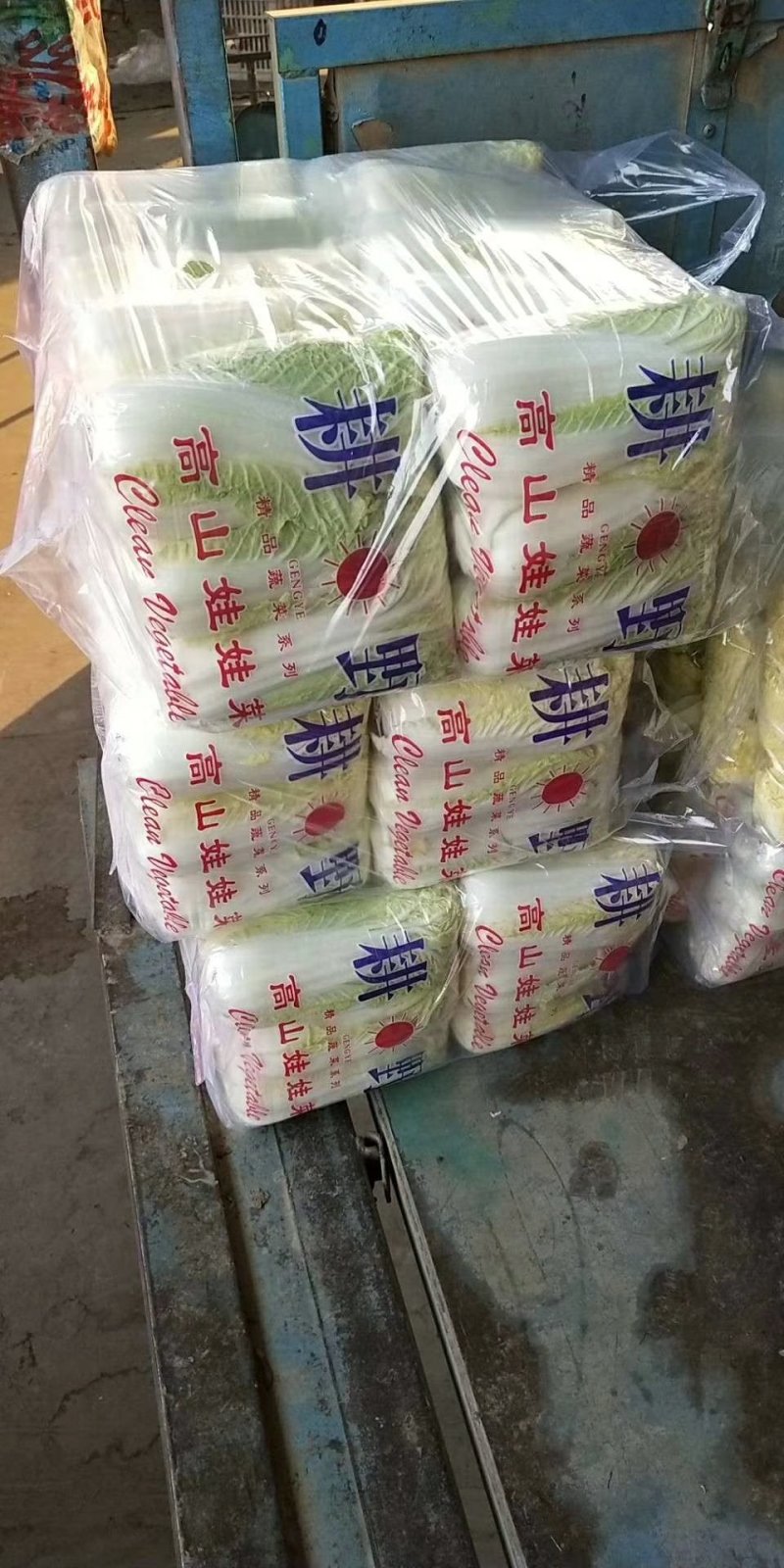 精品娃娃菜干净漂亮超市专供