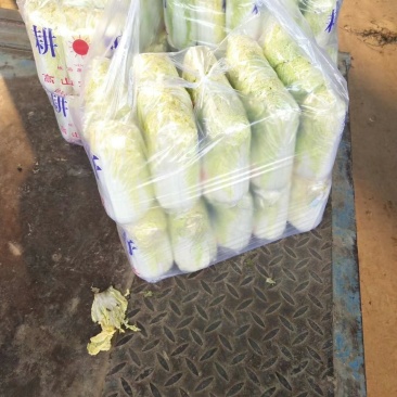 精品娃娃菜干净漂亮超市专供