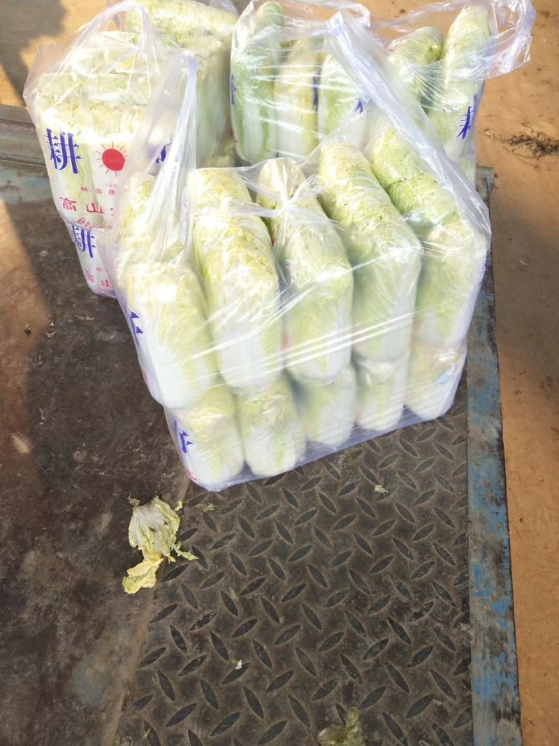 精品娃娃菜干净漂亮超市专供
