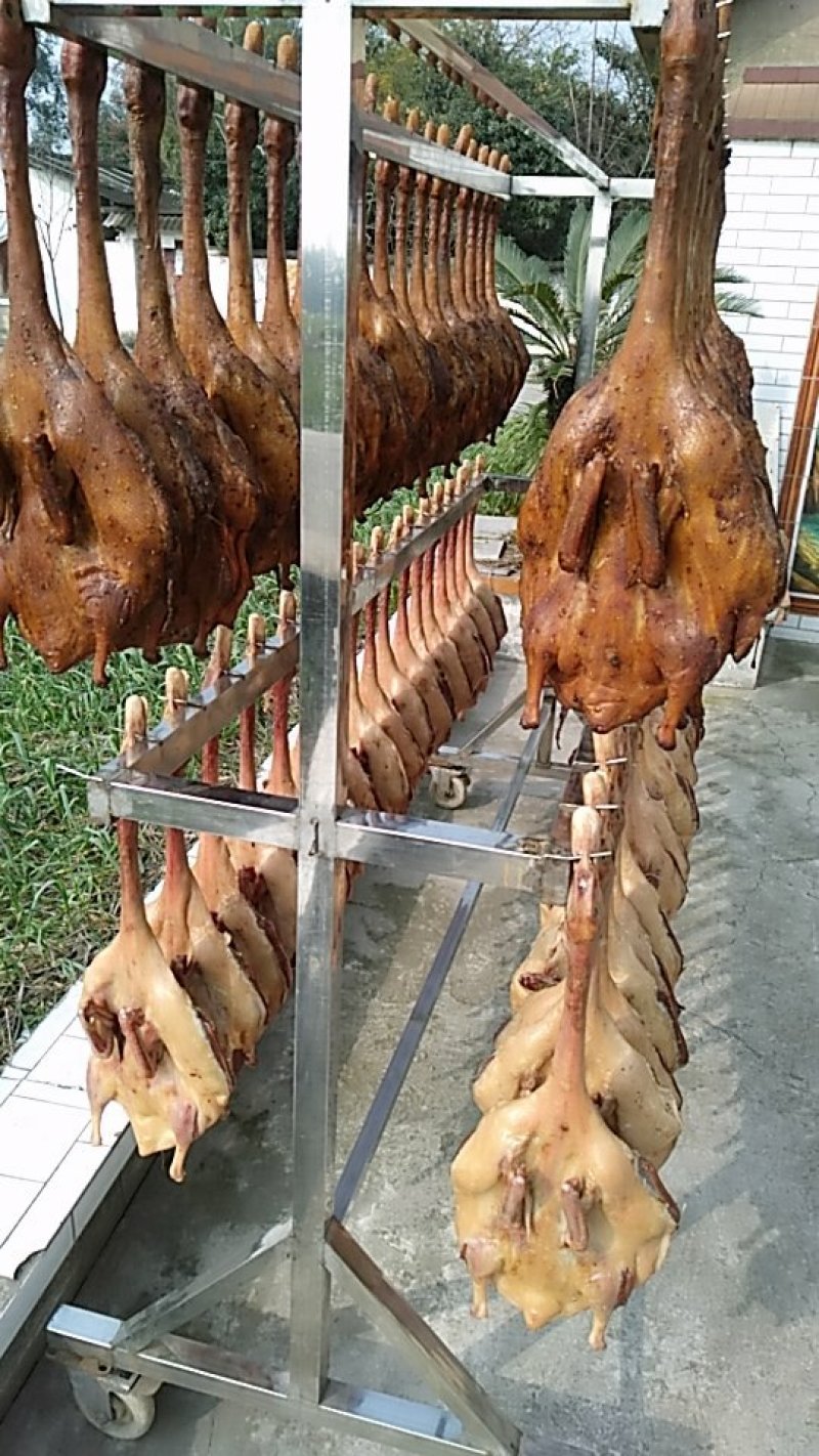 九尺板鸭