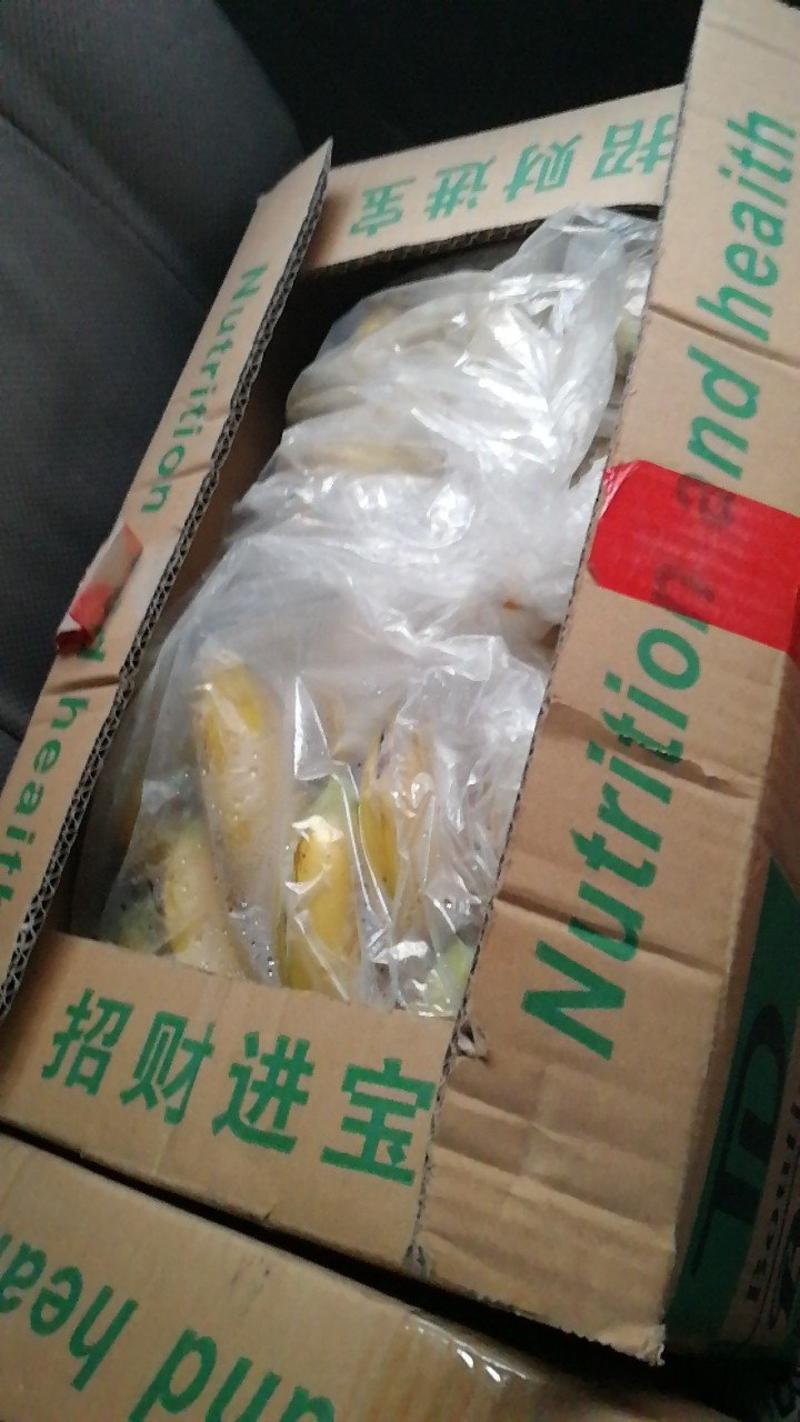 广西香蕉