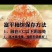 柿饼