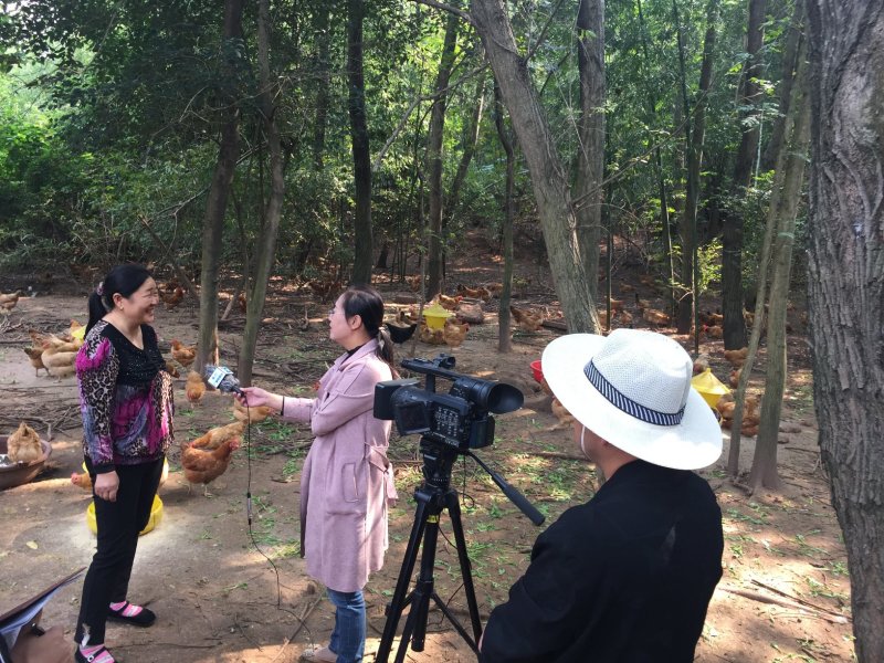 【有好货】散养土鸡蛋农家散养土鸡蛋