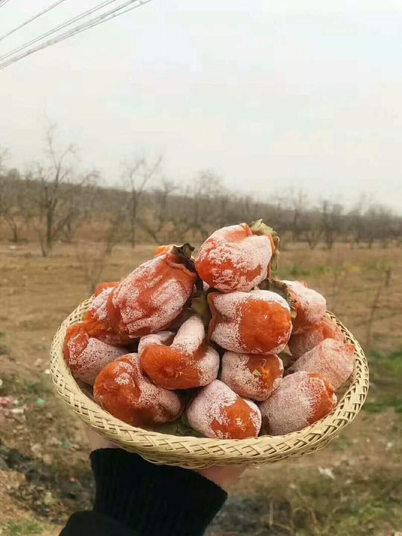 富平优质柿饼