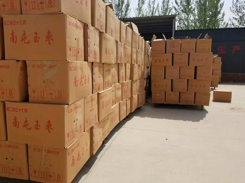 新疆红枣干红枣厂家直供地摊展会一手货源品种全价格低