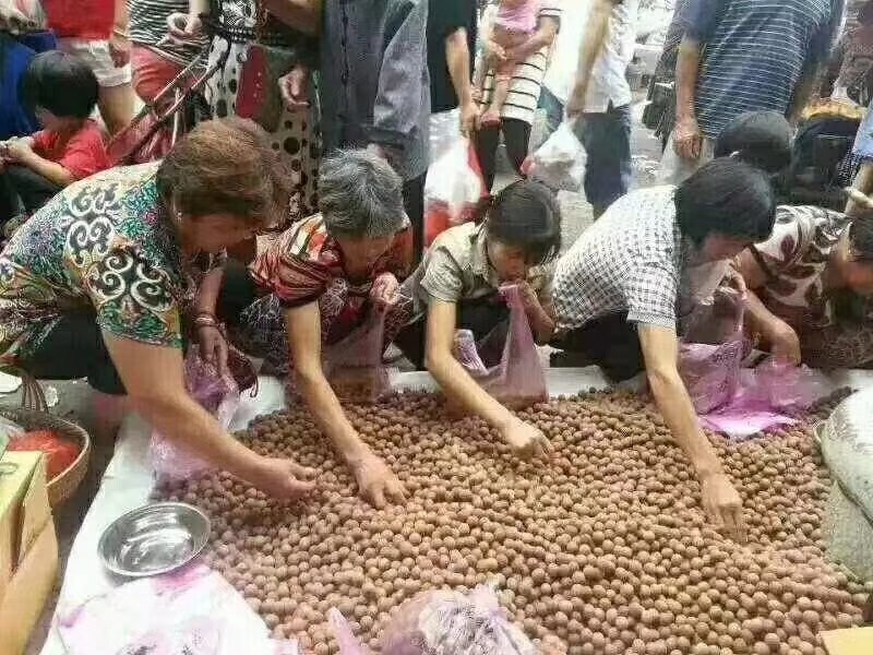 龙眼干，桂圆干
