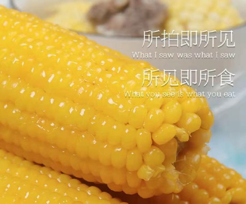 三农玉米