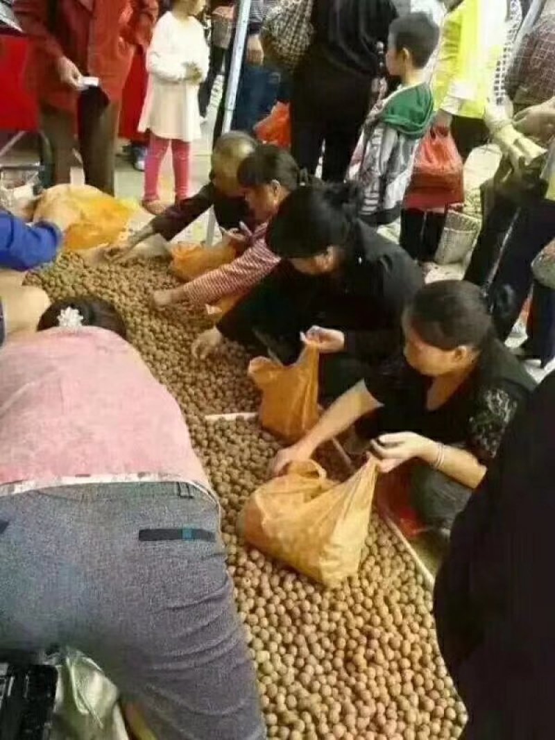 龙眼干，跑江湖热销
