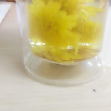 黄菊茶
