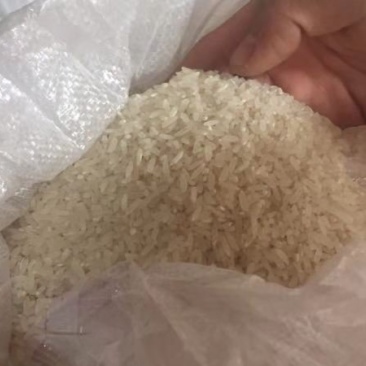 贵潮米