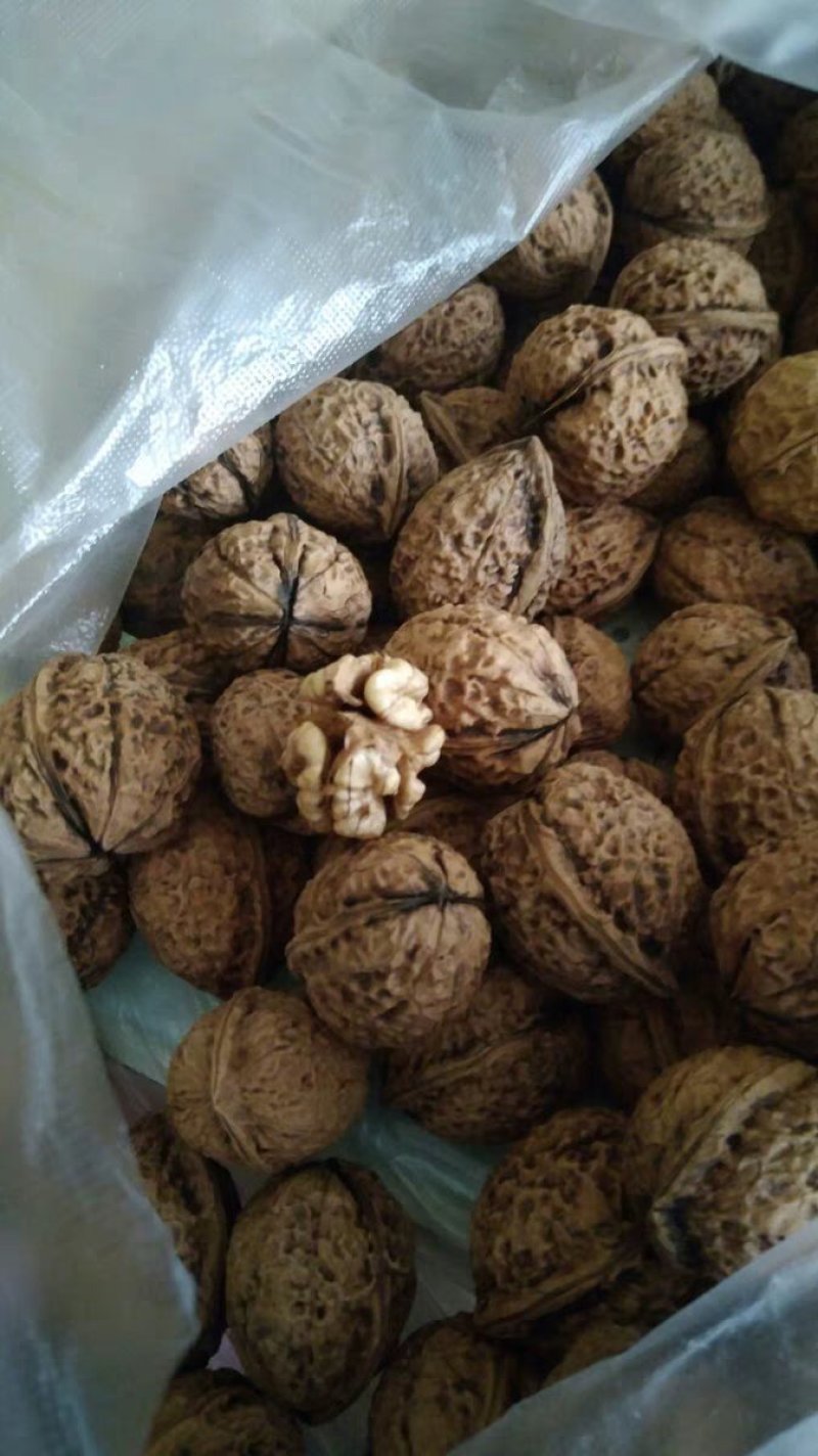 铁壳紫皮深山核桃28/斤