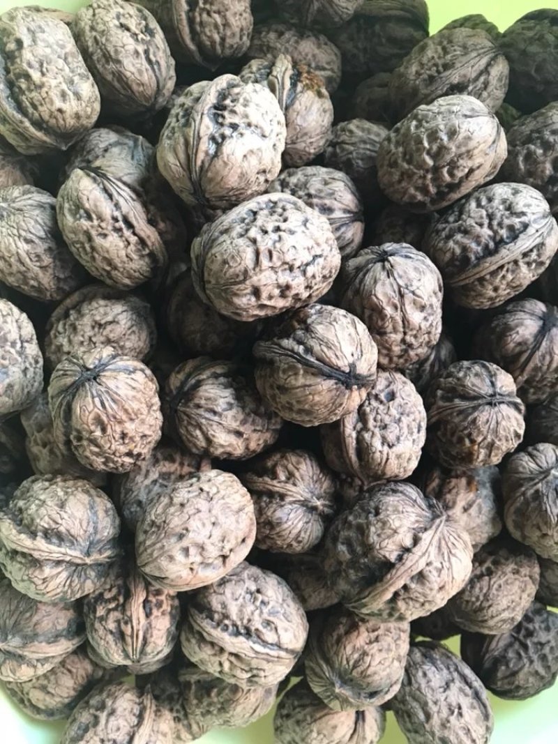 铁壳紫皮深山核桃28/斤