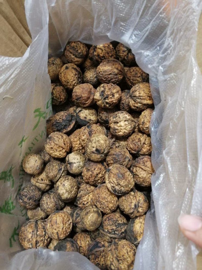 铁壳紫皮深山核桃28/斤