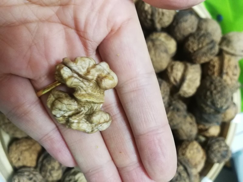 铁壳紫皮深山核桃28/斤