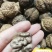 铁壳紫皮深山核桃28/斤