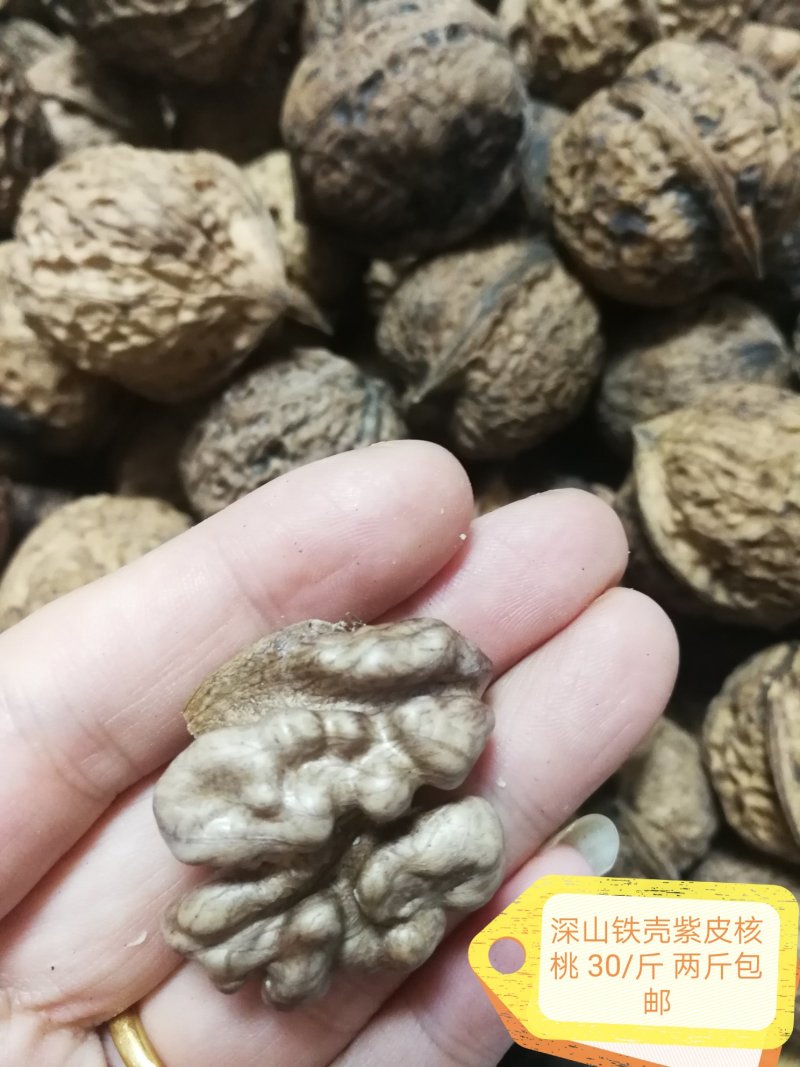 铁壳紫皮深山核桃28/斤