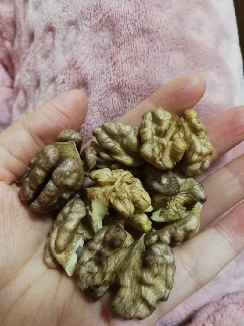 铁壳紫皮深山核桃28/斤