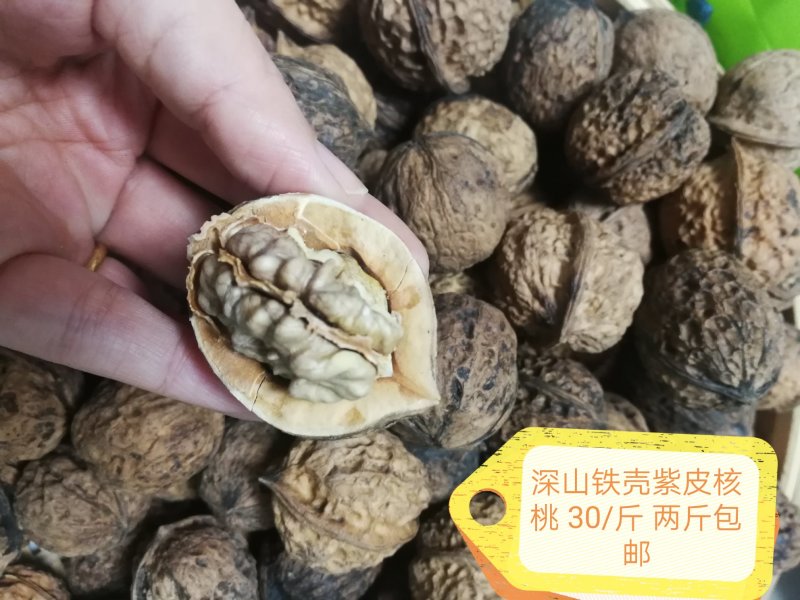 铁壳紫皮深山核桃28/斤