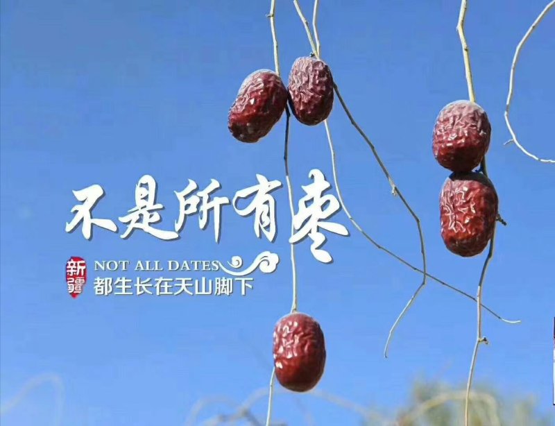 新疆若羌灰枣18/斤