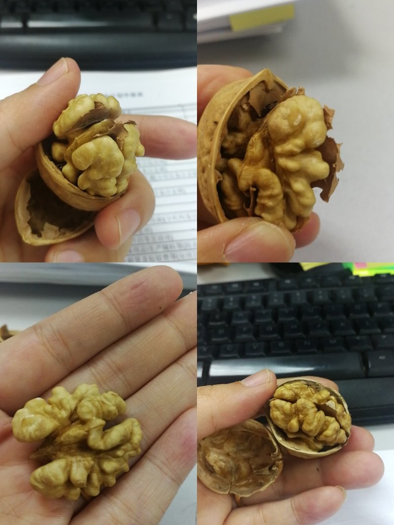 新疆一级纸皮核桃25/斤