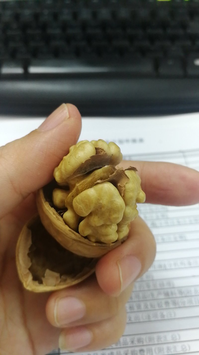 新疆一级纸皮核桃25/斤