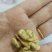 新疆一级纸皮核桃25/斤
