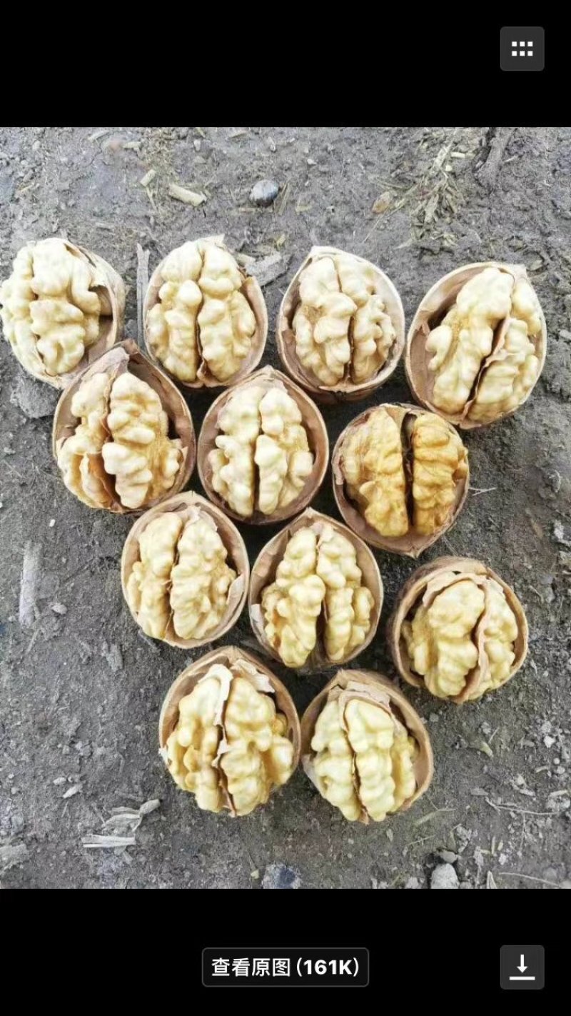 新疆一级纸皮核桃25/斤