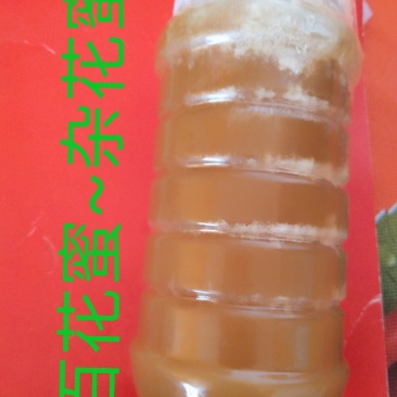 野生土蜂蜜
