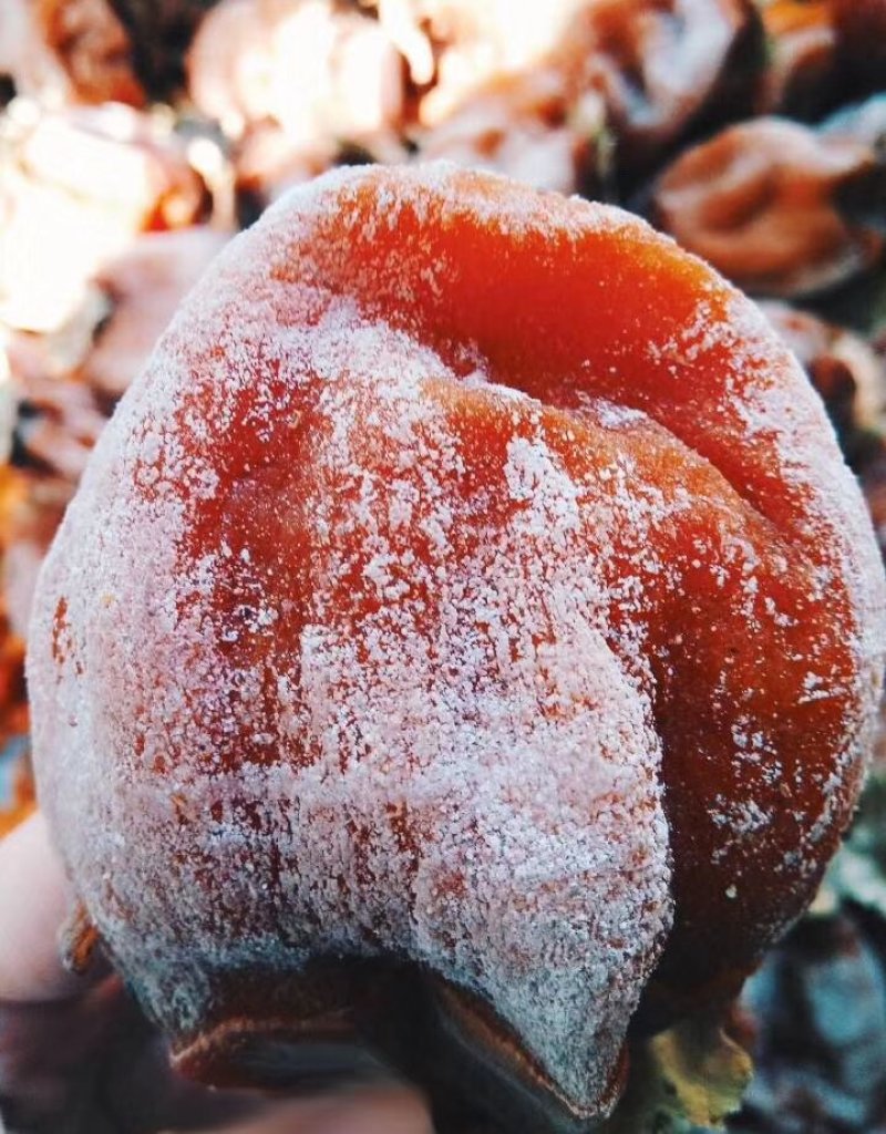 2018新鲜陕西特产特级富平柿饼·《陕礼》