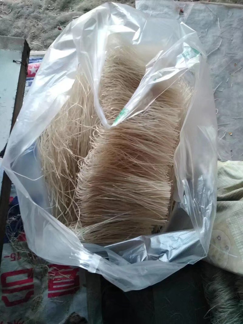 正宗赵集粉丝假一罚十