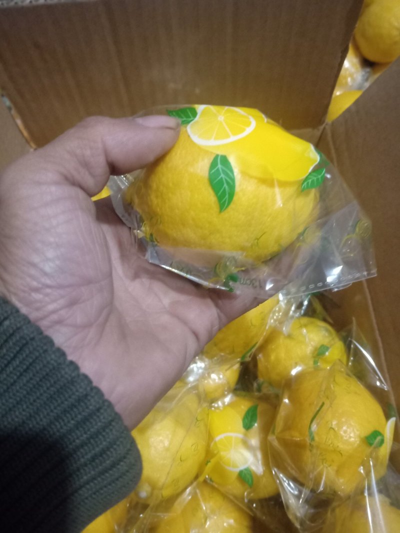 重庆万州.黄柠檬产地直供，欢迎咨询采购