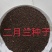 二月兰种子净籽耐寒适应强6-8斤/亩