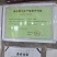 苗圃直销，李子苗，蜂糖李，5月脆，半边红，清脆李，脆红李