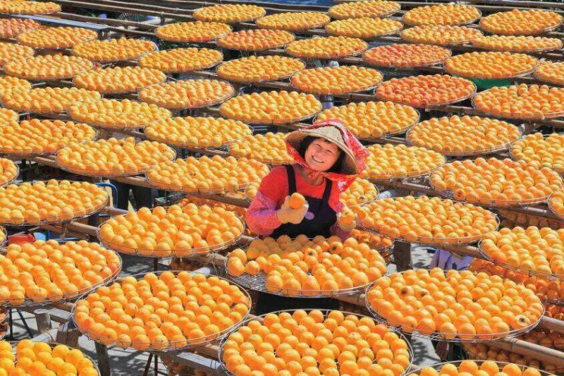 恭城柿饼
