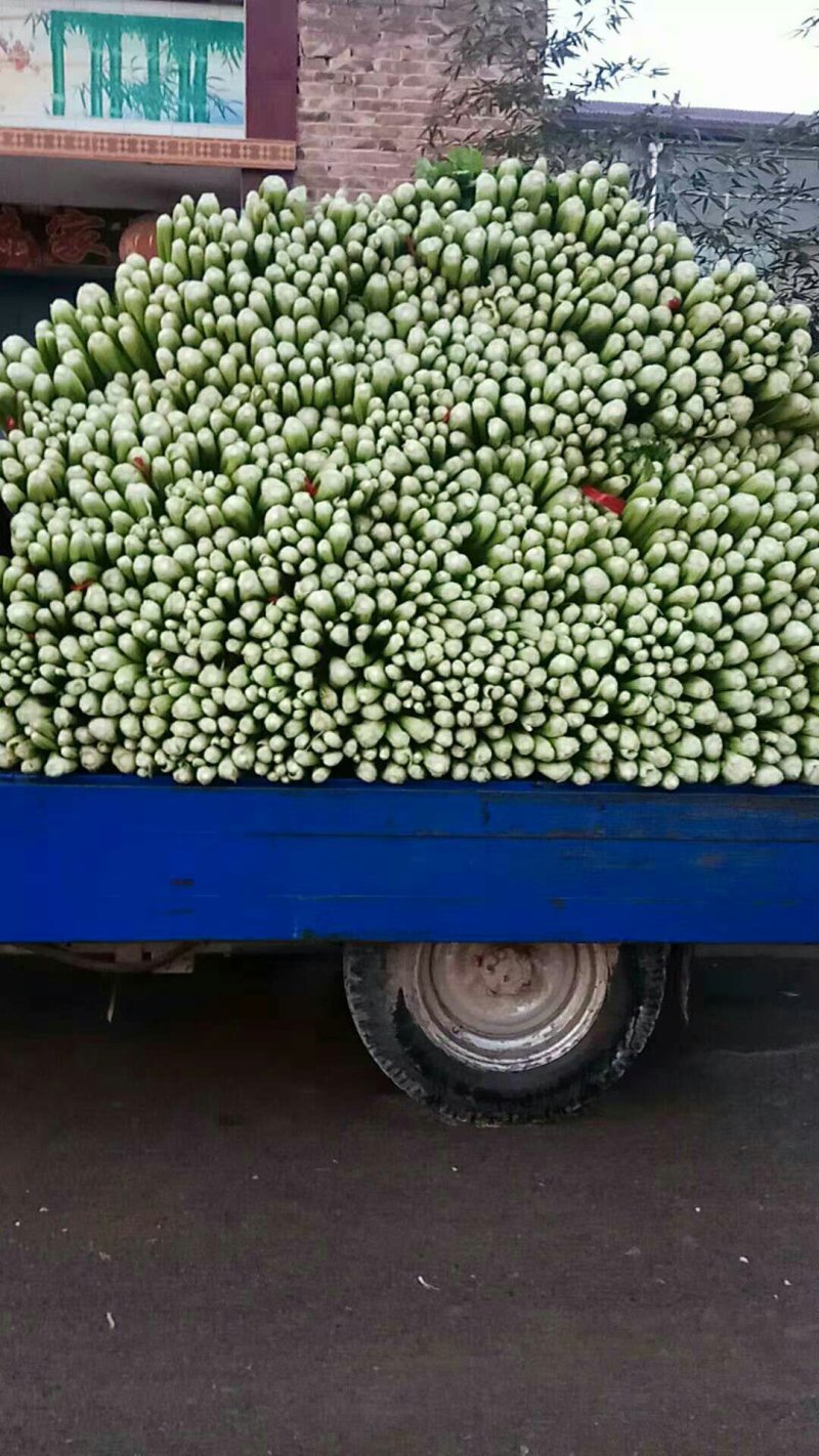 西芹