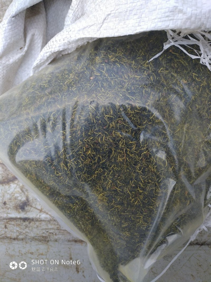 杜仲雄花