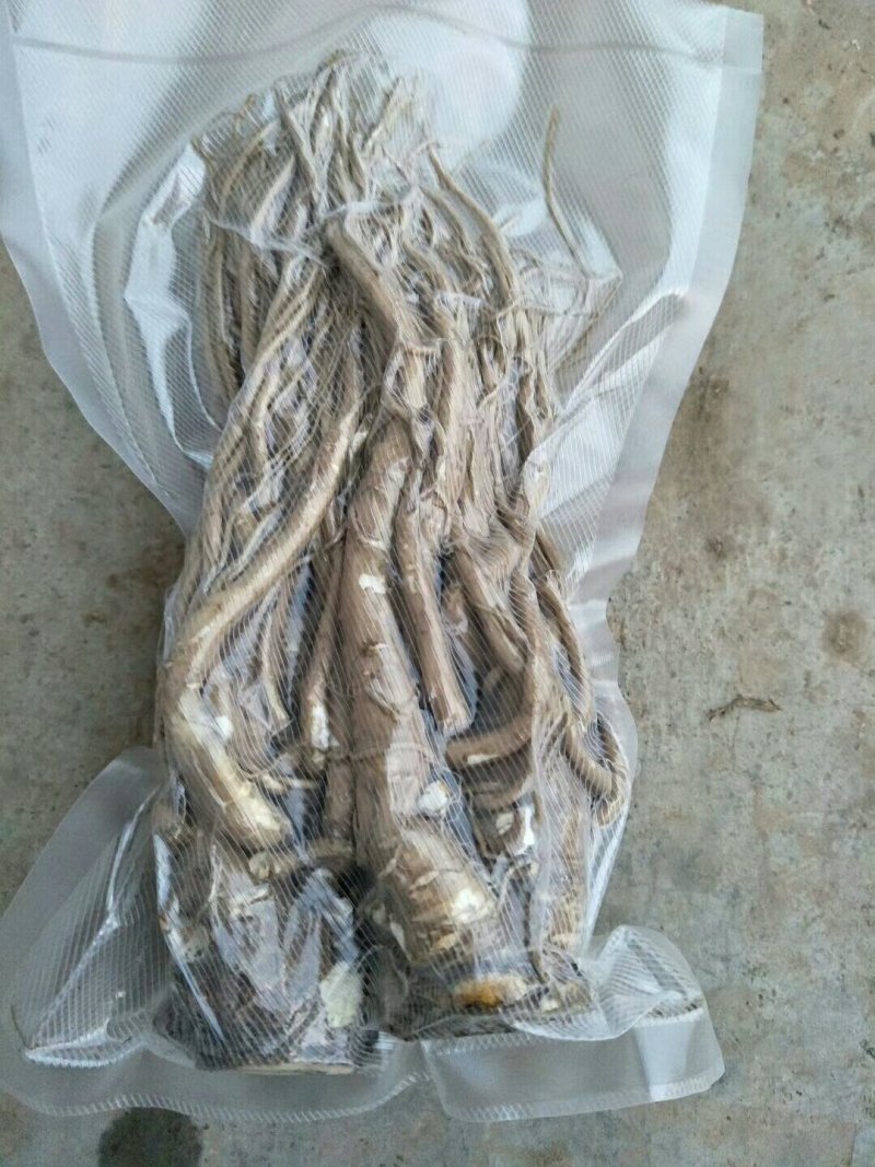 鲜当归