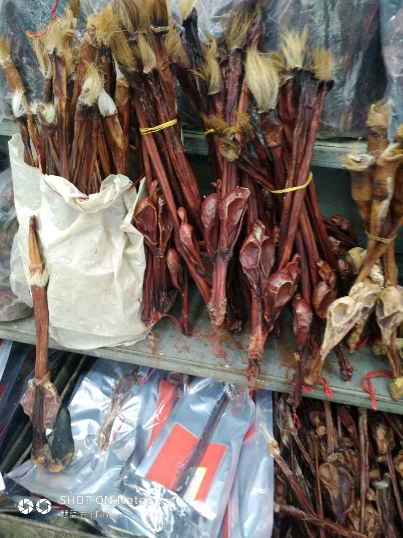 牛鞭