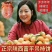 萱阳正宗吊富平柿饼