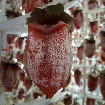 萱阳正宗吊富平柿饼