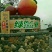 萱阳正宗吊富平柿饼