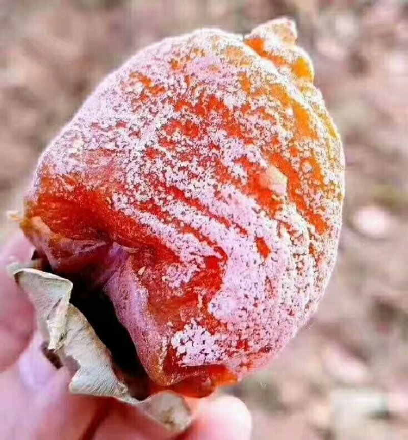 农家柿饼包邮